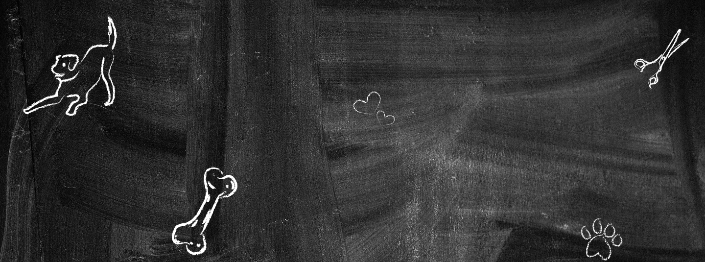 Blackboard with white drawings of a cat, bone, heart, and scissors on a wooden surface.
