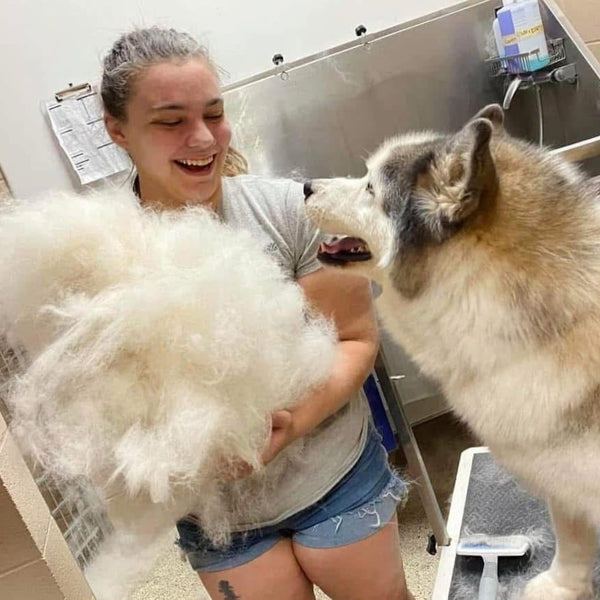 Woman holding a large ball of dog hair next to a dog in a grooming salon.