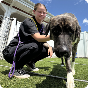 Person kneeling next to a large dog on a leash in an outdoor setting