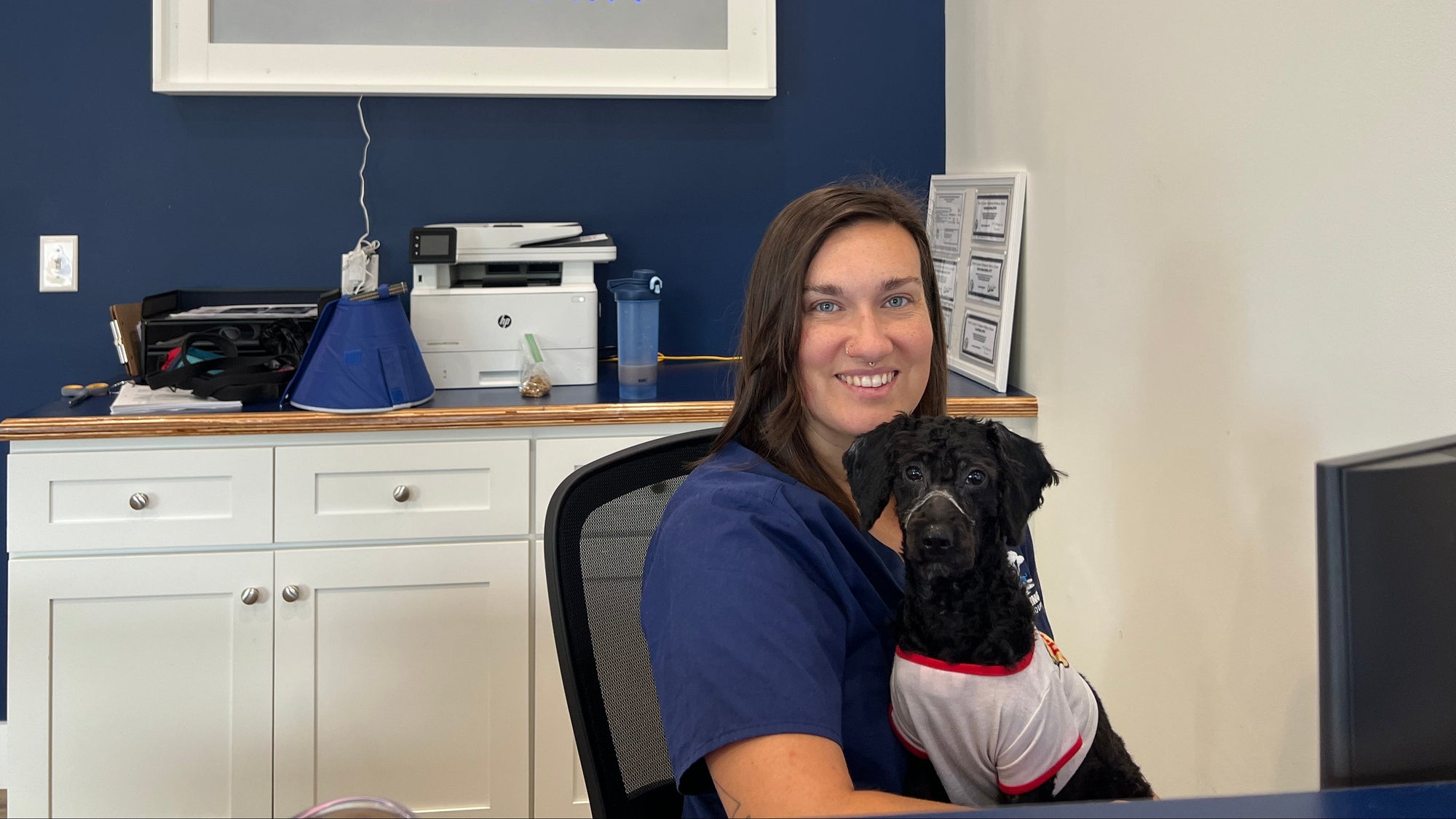 Person holding a dog in a veterinary clinic with 'Paw Springs Veterinary' sign.