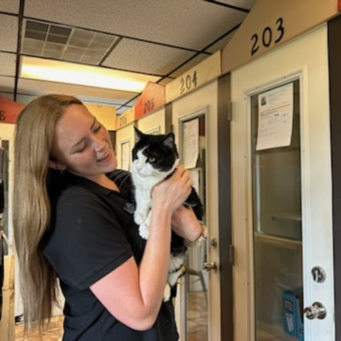 Person holding a black and white cat in front of animal shelter kennels