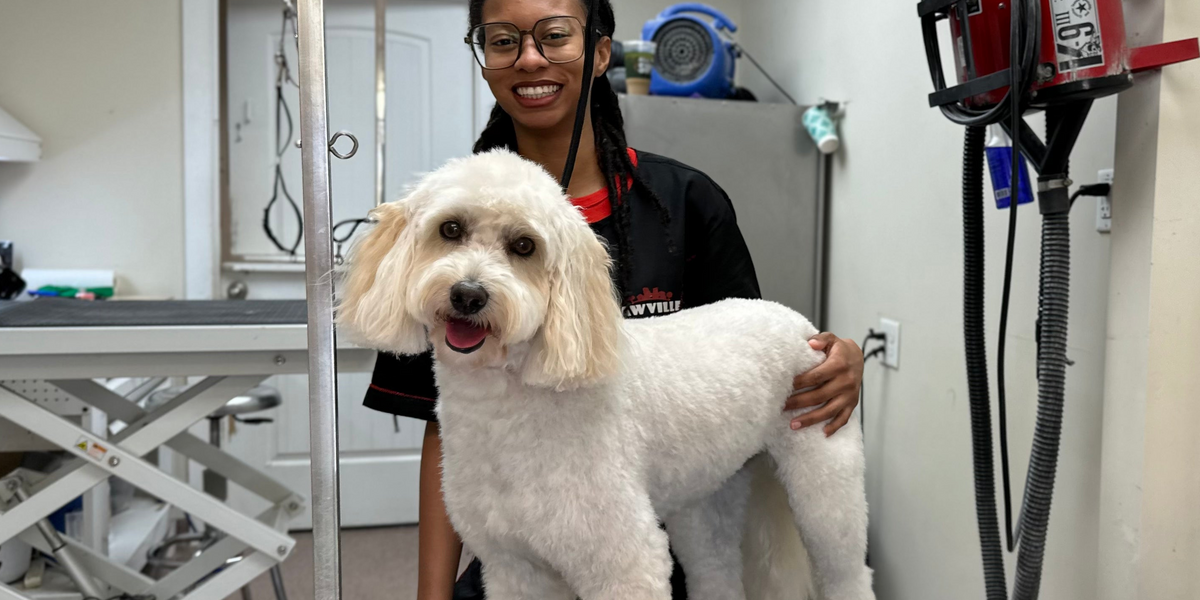 Woman with a dog on a grooming table 