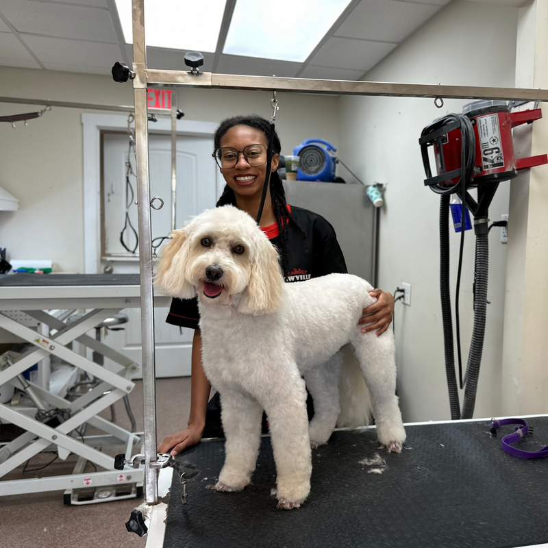 Woman with a dog on a grooming table 
