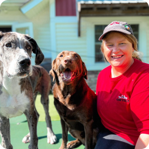 Person in a red shirt with two dogs outdoors