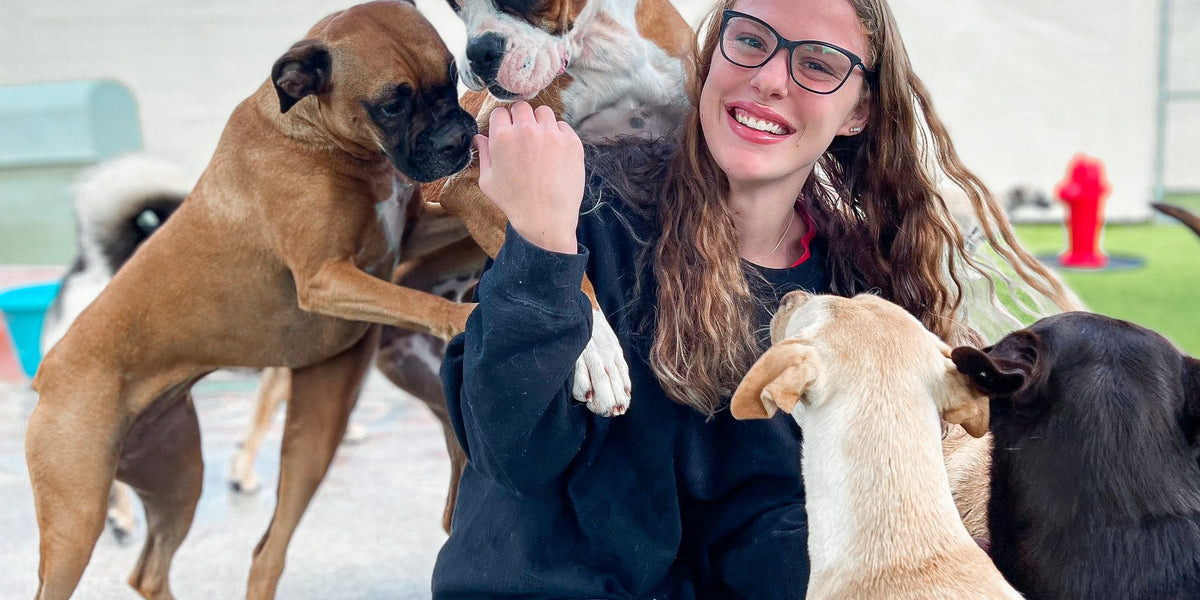 Woman with dogs outdoors on a sunny day