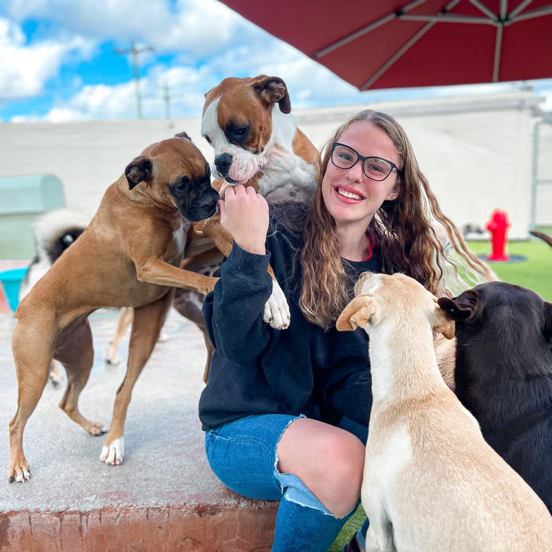 Woman with dogs outdoors on a sunny day