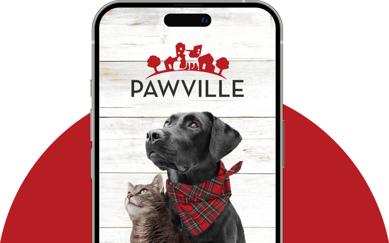 Phone displaying the Pawville app with a dog and cat on a wooden background