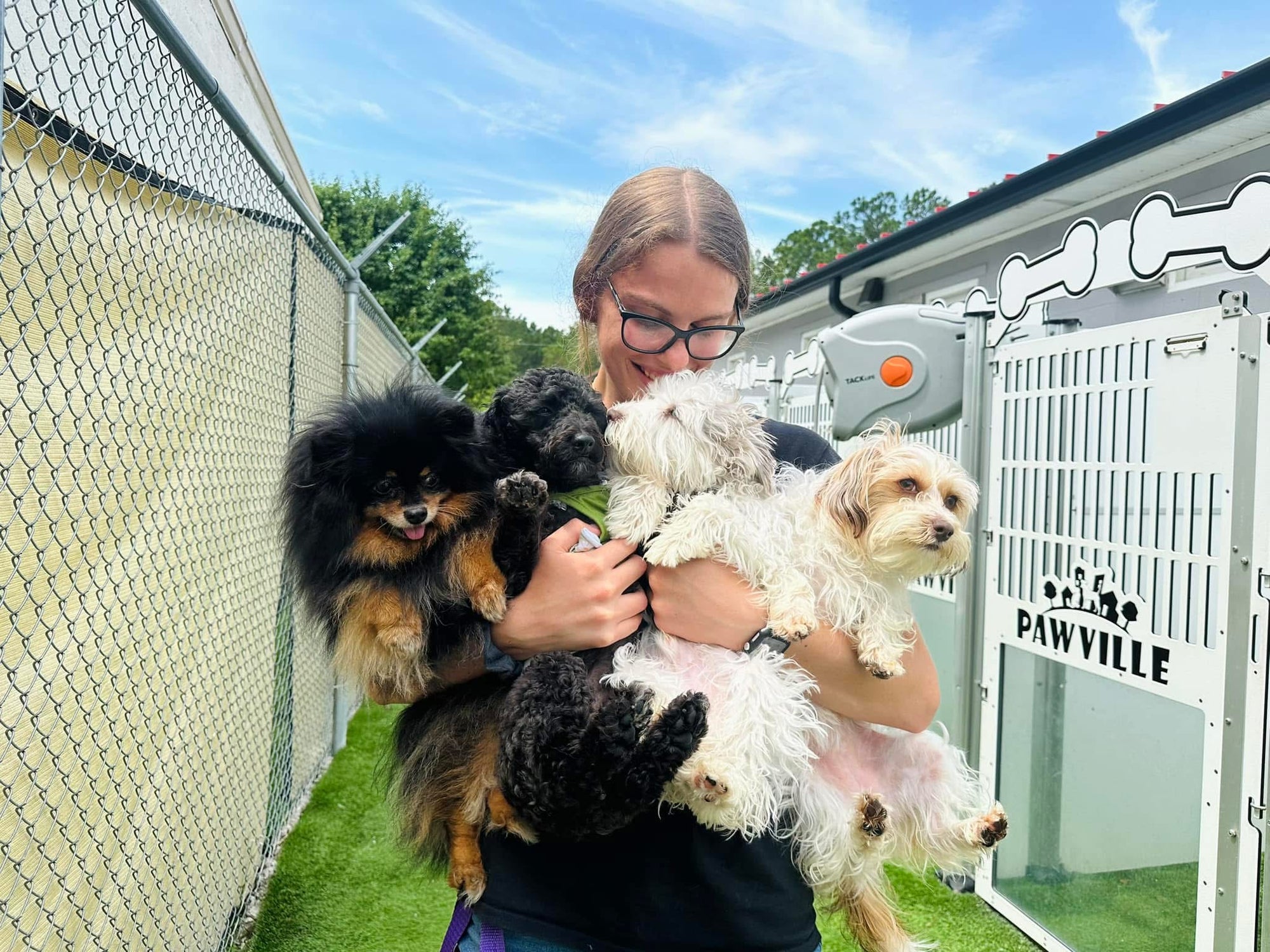 Person holding four small dogs in front of a 'PAWVILLE' kennel.