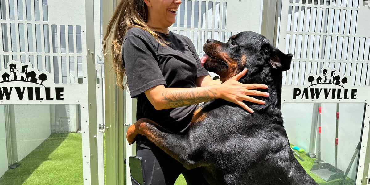 Woman hugging a large dog in an outdoor area with 'PAWVILLE' branding.
