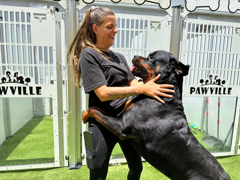 Woman hugging a large dog in an outdoor area with 'PAWVILLE' branding.