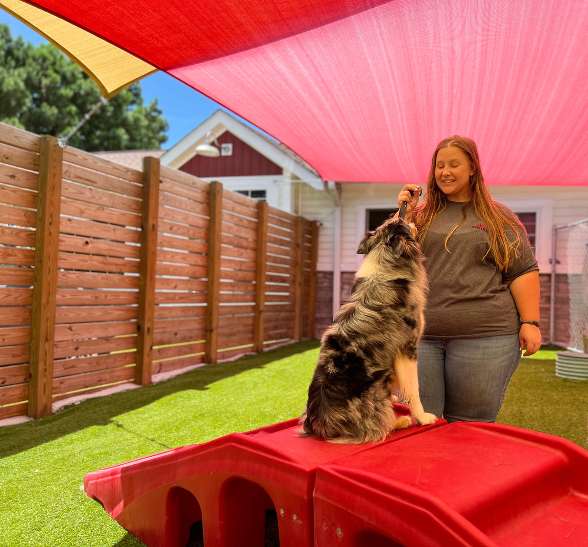 Woman with a dog on a red play structure in a backyard